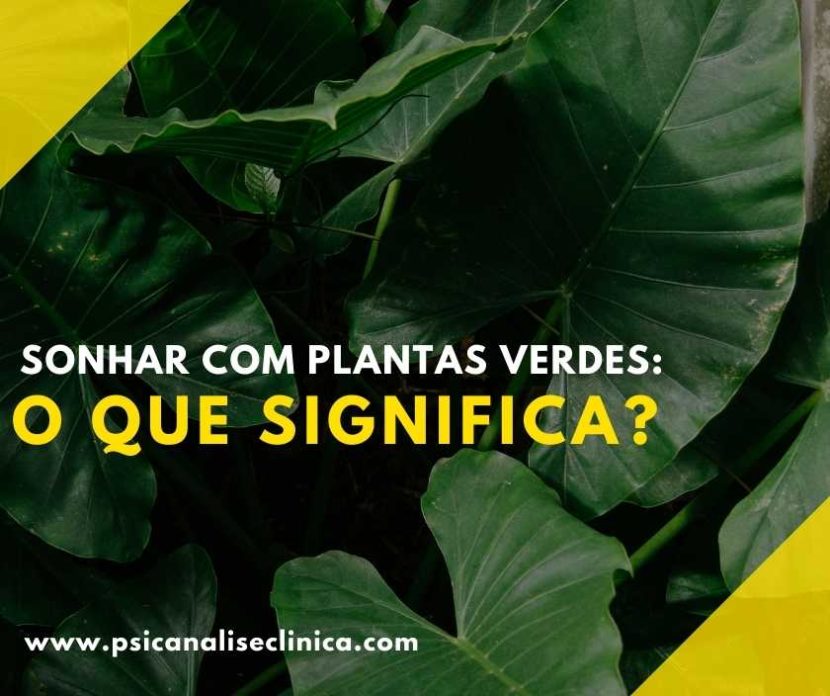 sonhar com plantas verdes no vaso