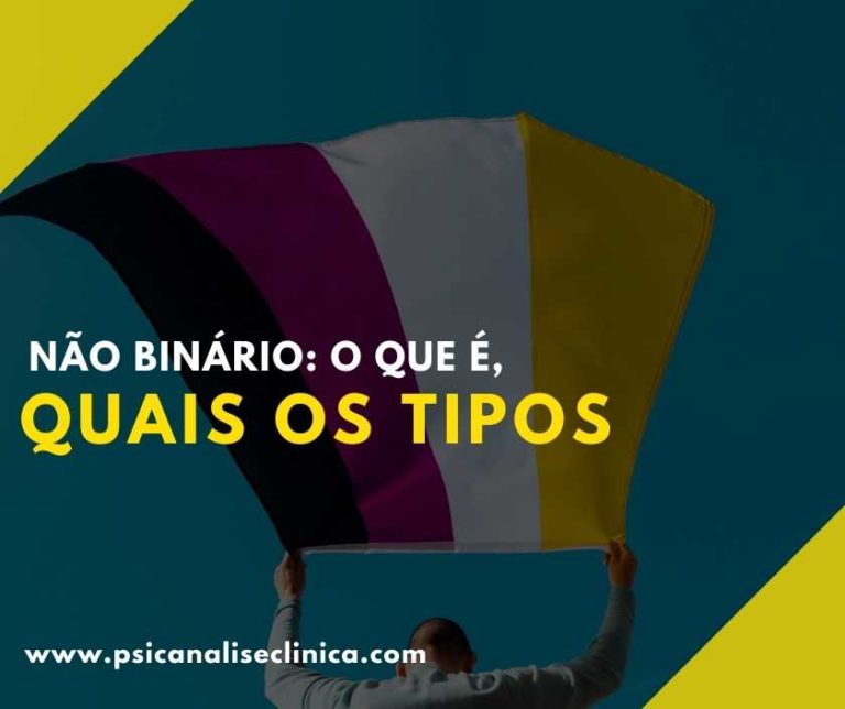 Não Binário: o que é, quais tipos de pessoas não binárias - Psicanálise ...