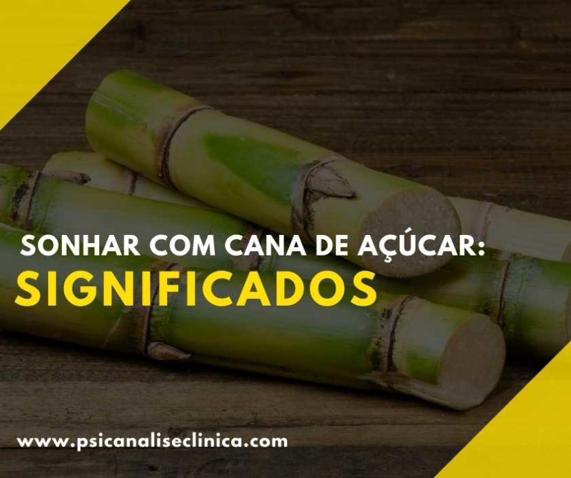 o que significa sonhar com cana