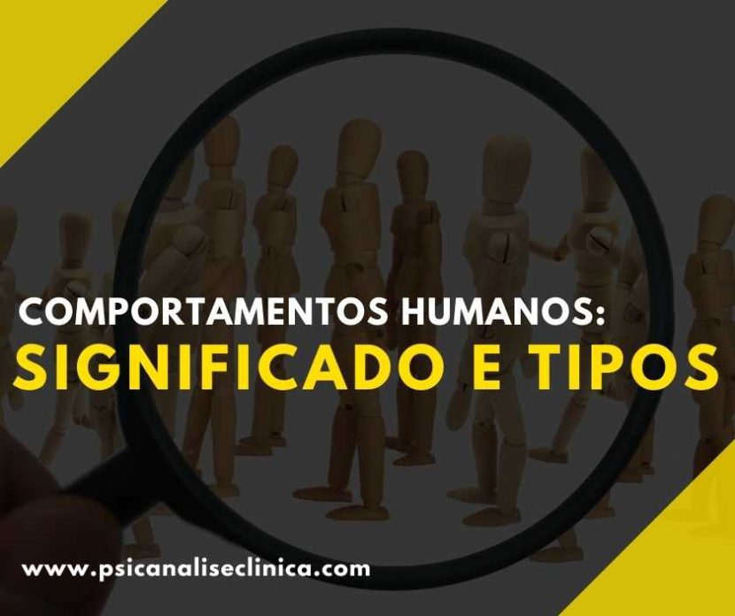 quais os comportamentos humanos