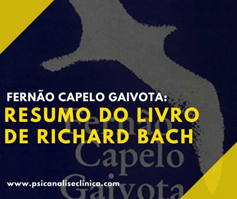 livro Fernão Capelo Gaivota