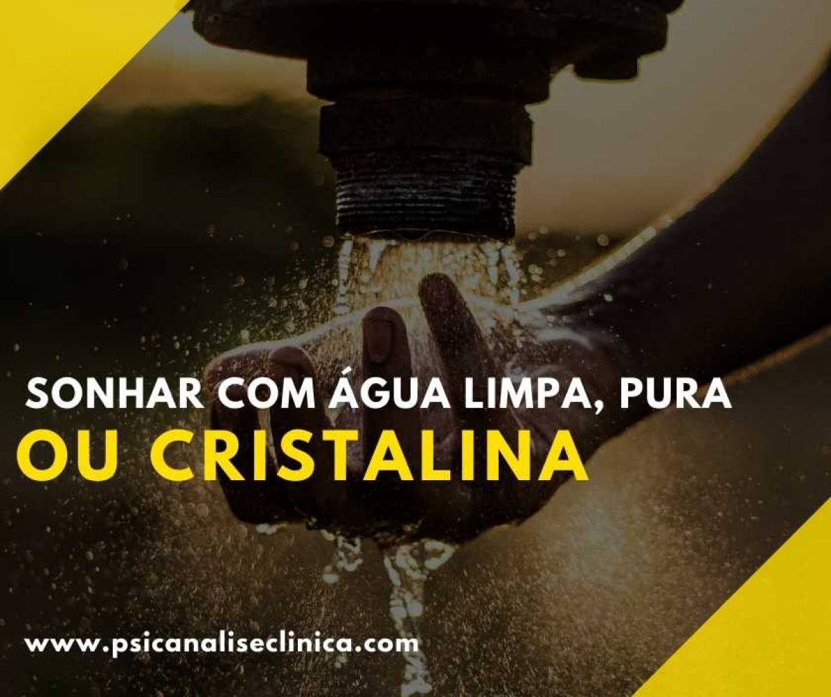 Experiência no MSC Seaview: Minha Primeira Cruzeiro, image size:1200x1006