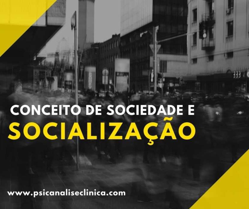 definição de sociedade