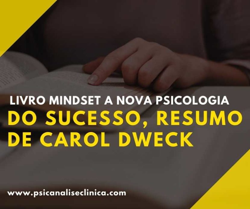 resumo do livro Mindset