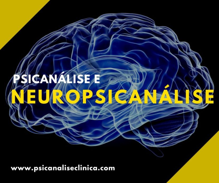 neuropsicanálise o que é