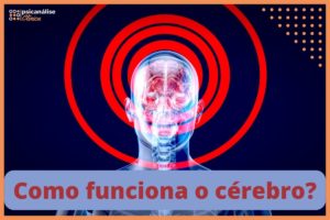 como funciona o cérebro