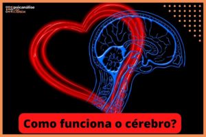 como funciona o cérebro