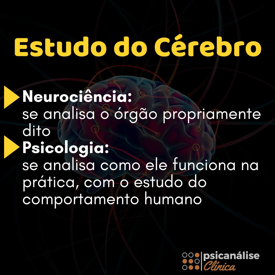 Como funciona o cérebro mapa mental ciências