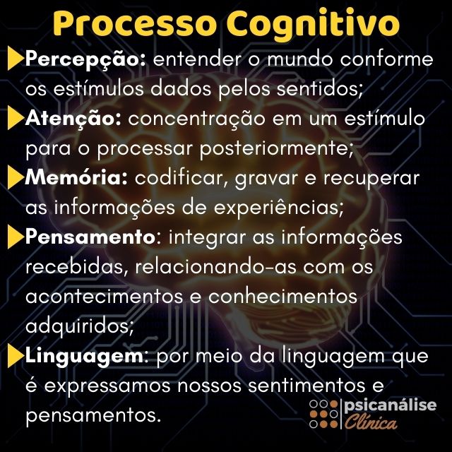 Cognição resumido