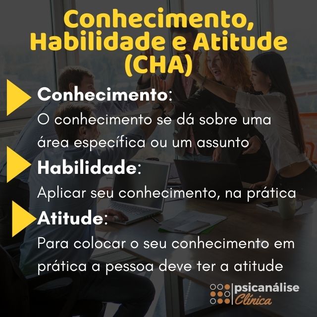 Conhecimento Habilidade Atitude Resumido