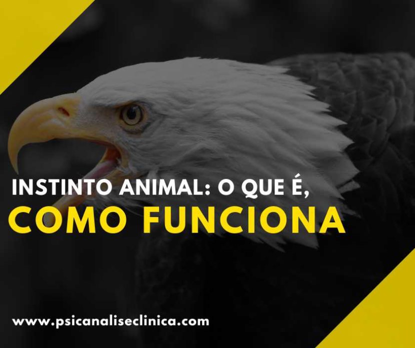 o que é instinto animal