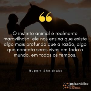 instinto animal frase Rupert Sheldrake