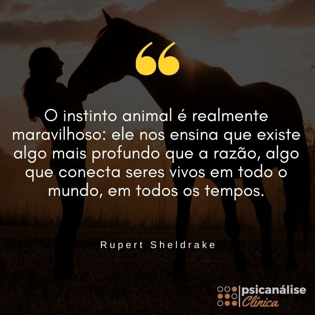 instinto animal frase Rupert Sheldrake