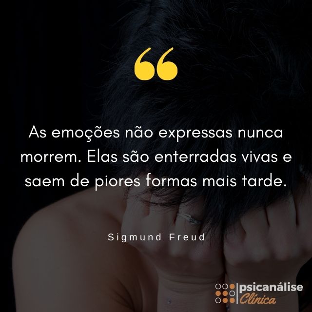 Perda gestacional frase freud