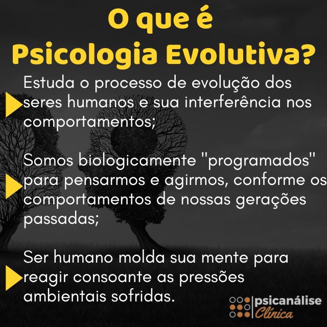 Psicologia Evolutiva Resumido