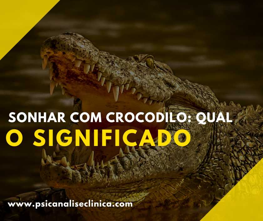 Sonhar com Crocodilo: qual o significado - Psicanálise Clínica