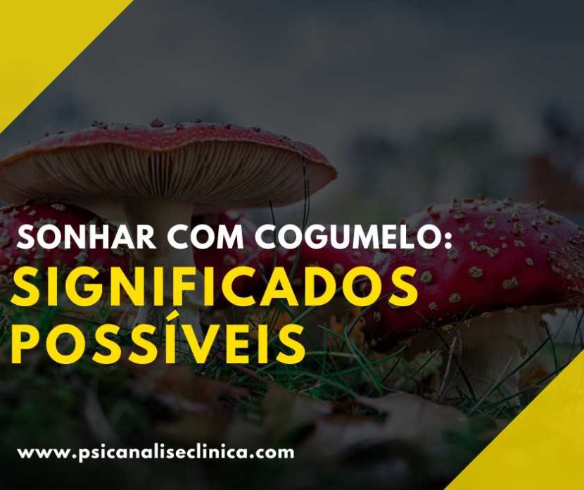 o que significa sonhar com cogumelo