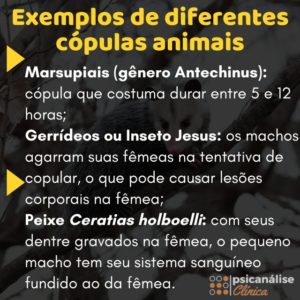 Cópula exemplos