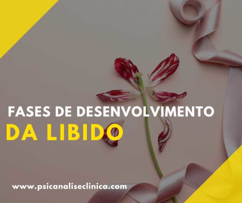 fases de desenvolvimento da libido