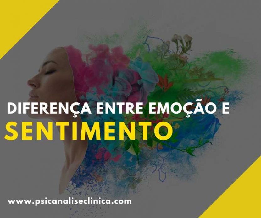 diferenças entre sentimentos e emoções