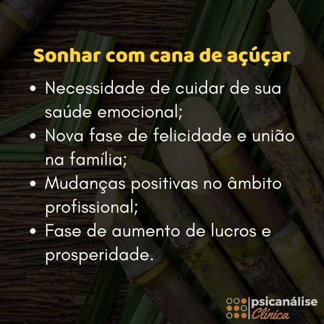 sonhar com cana de açúcar resumo