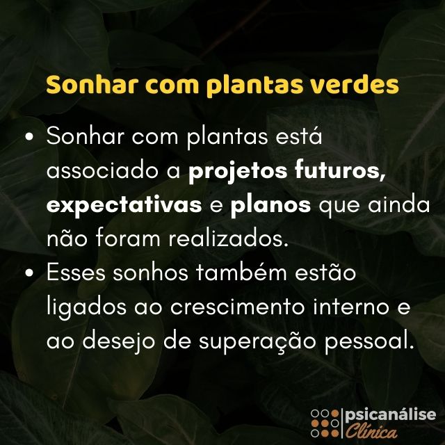 sonhar com plantas verdes resumo