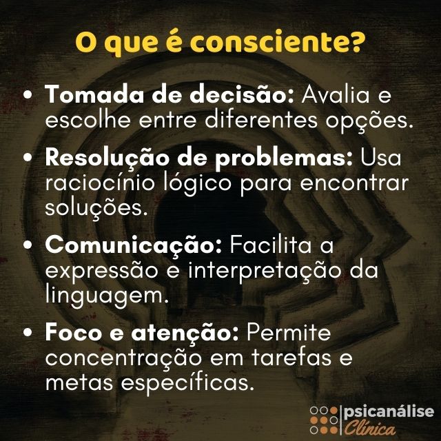 o que é consciente resumo