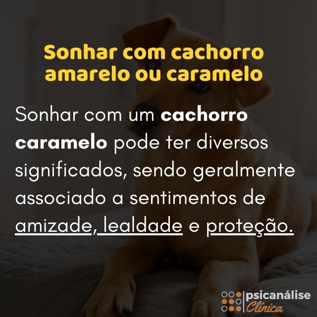 sonhar com cachorro amarelo mapas mentais