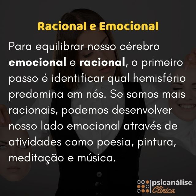 racional e emocional resumo