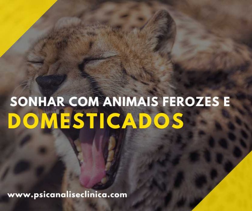 sonhar com animais ferozes