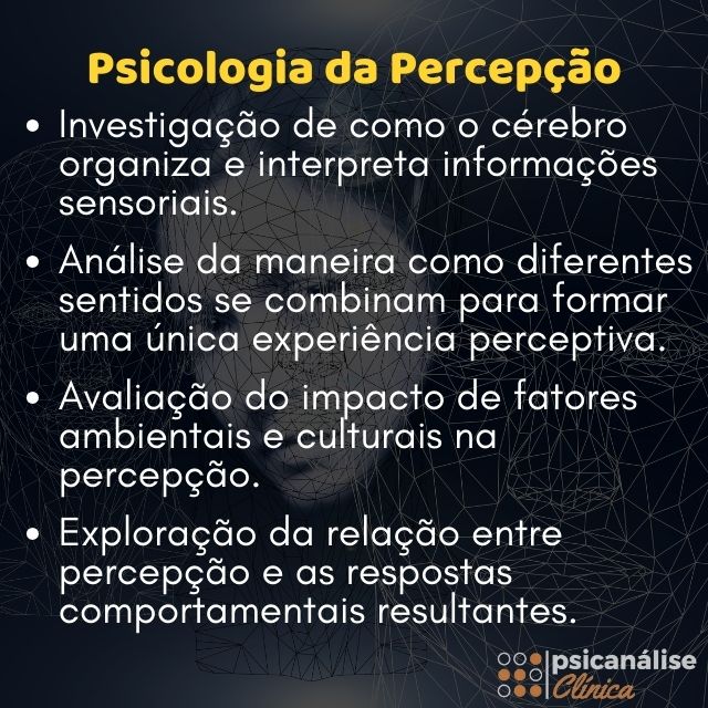 psicologia da percepcao resumo