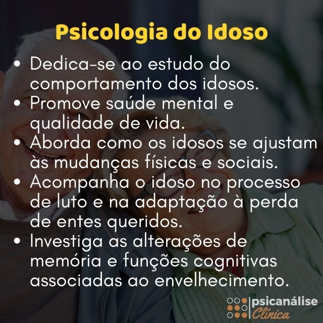 psicologia do idoso resumo