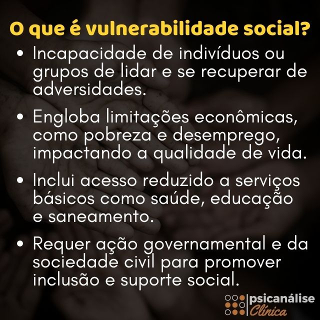 vulnerabilidade social resumo