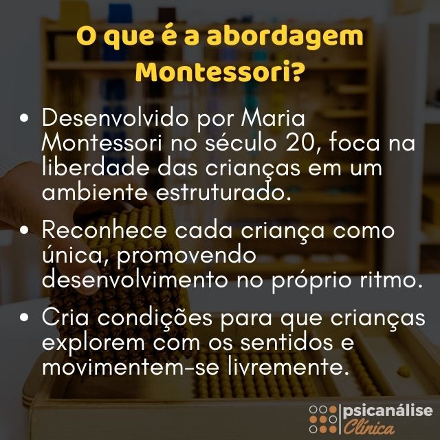 abordagem montessori mapa mental