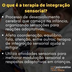 Terapia de integração sensorial: conceitos e aplicações - Psicanálise ...