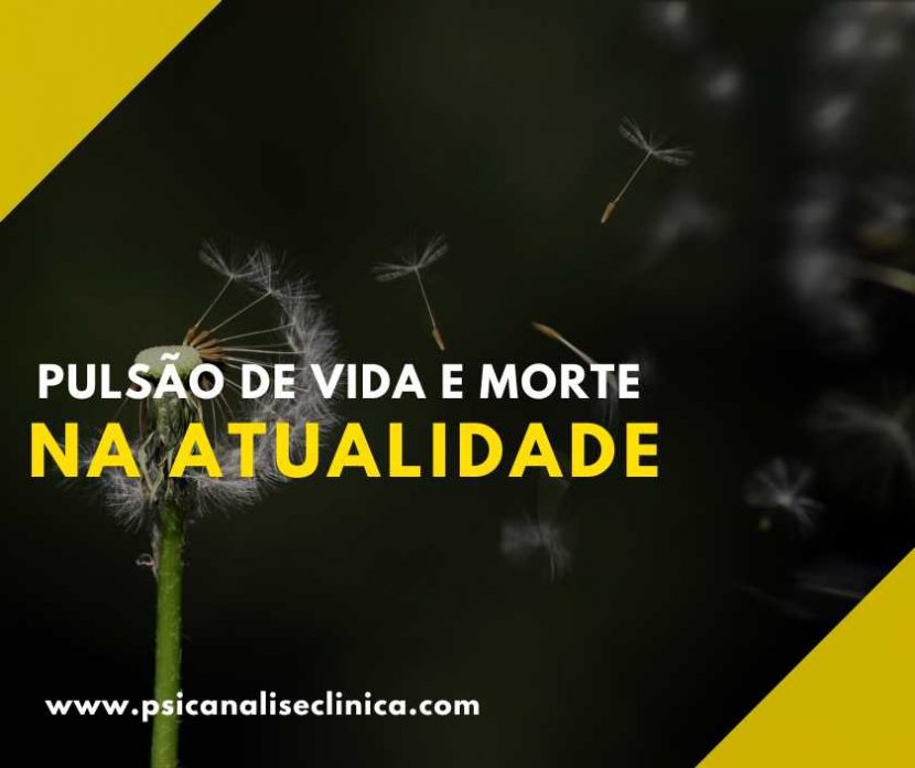 Pulsão de Vida e Morte na Atualidade