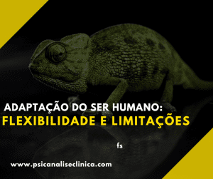 Assunto central para entender como funcionam adaptações e limites na visão da psicanálise.