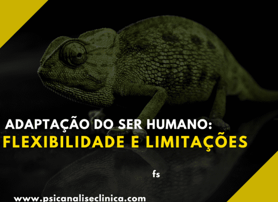 Assunto central para entender como funcionam adaptações e limites na visão da psicanálise.