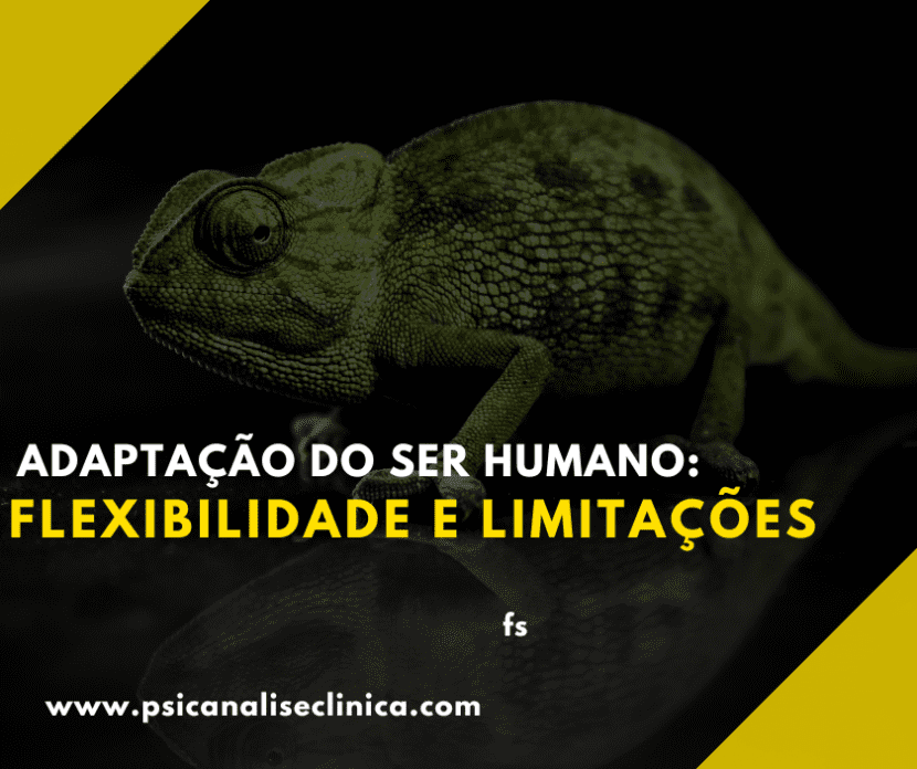 Assunto central para entender como funcionam adaptações e limites na visão da psicanálise.