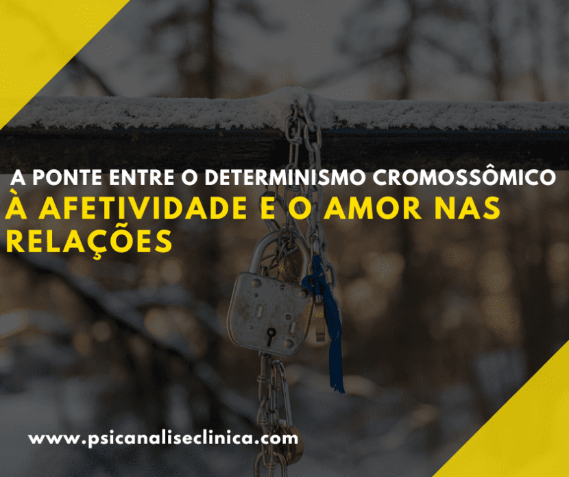 Uma análise sobre o afeto, o amor e a sexualidade