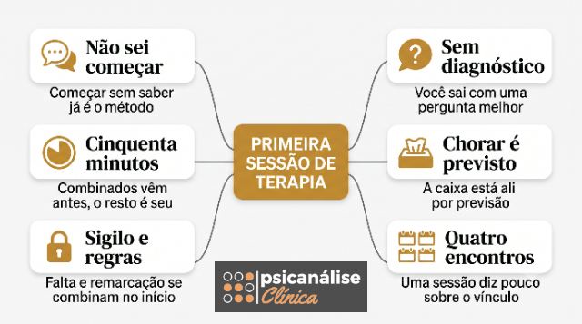 primeira sessão de terapia psicologia e psicanálise resumo